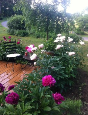 ������ ����� �� ������ ���������: ������� ������� � �����������