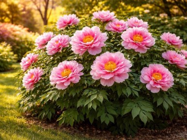 ��� ��� �������: ��� ����������� ����� ������ ������������� ��� �����