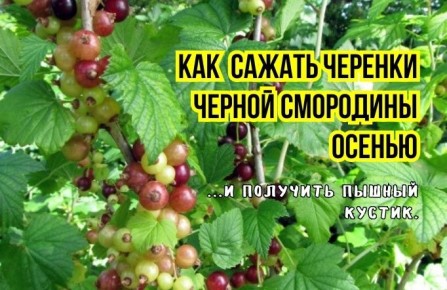 ��� ������ ��������� ��������� ����� ������ ��������� ��� ������ ������