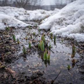 ������ ���������� ����� ����� ��������� ����� �������� ����������