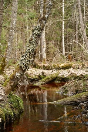 ������ ����� � ������: � �������� ������� ������� ������� ������ � ����� ����