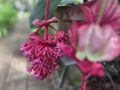 � ����� ������� ����� ����������� �� ������ ��������� ������� "��������"