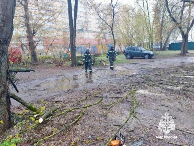 ��� ������������ ���� ����������� �������� � �������� �������