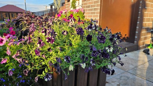 ��������, ������� �� ������ �����: ��������� �������� ��� ������ ����