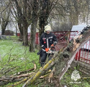 ����������� ��� ������ ����������� ����������� �������� �� ���������� �����������