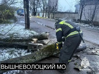 ��������� ������������ ���������� ������������� ����������� ��������, ������� ������� ������