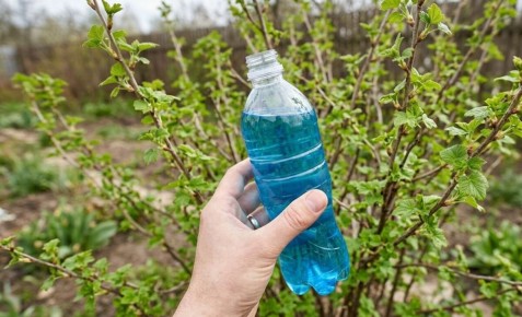 ��� �������� ��������� �� ���������� � �������� � ������ �������?