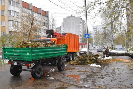 ��������� ������������ � ������������ ������ ��������� ����������� ��������