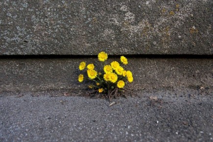 �������� �������: ��������� ����������, ����� ����� ���������� ����������