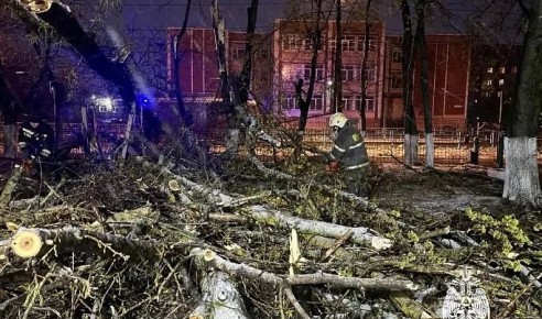 �� ���������� �������� ������� ����������� ��������������� �������� �������