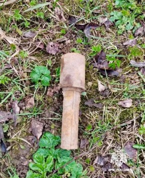 29 ������ 2026 ���� ������� ����������� (��������) ����� ��������-������������ ������ �������� ������� ��������� ������������� ������� ����� ������� ������������� ����� � ������ ��