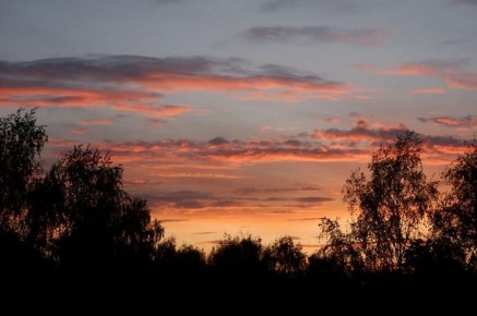 �������� ����: �������� ���������, ����� ����� ��� � ����������� ������