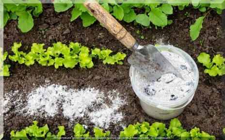 ����� � �������� �������: ��������������� �������� ��� ��������� ����� ��������