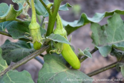 ��������� ������� ���������: �������� ������ ����� � �������!