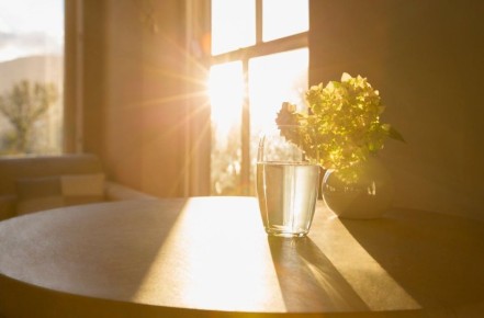 ������� ������������� ���������� ����: ��� ��������� �� ����������� ���