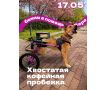 � ����� ������� ����������������� ����� � ����������