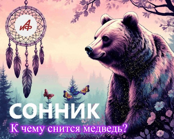 К чему снится медведь?. Медведь во сне символизирует мощную энергию и скрытую силу