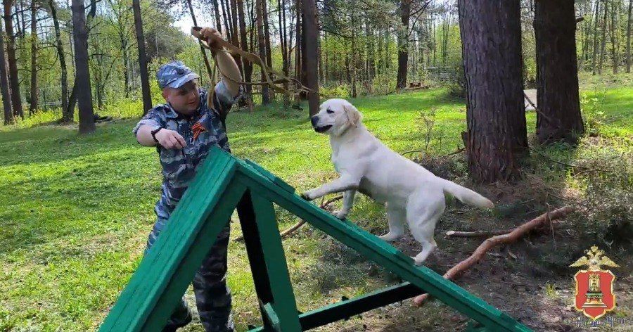Тверские кинологи приняли в ряды четвероногого новобранца