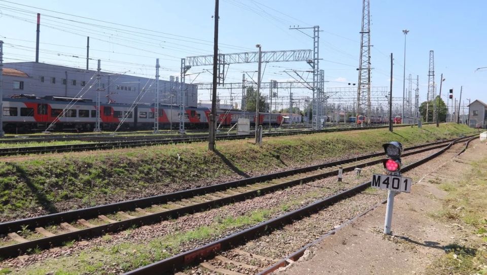 В Тверской области пассажирский поезд сбил лося
