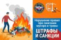 �������� ����� ����� � ������ �������� ������������ ������� ��������, ������� ����� �������� � ��������� ������������, ������� ������, ������ � ���� ������ �����