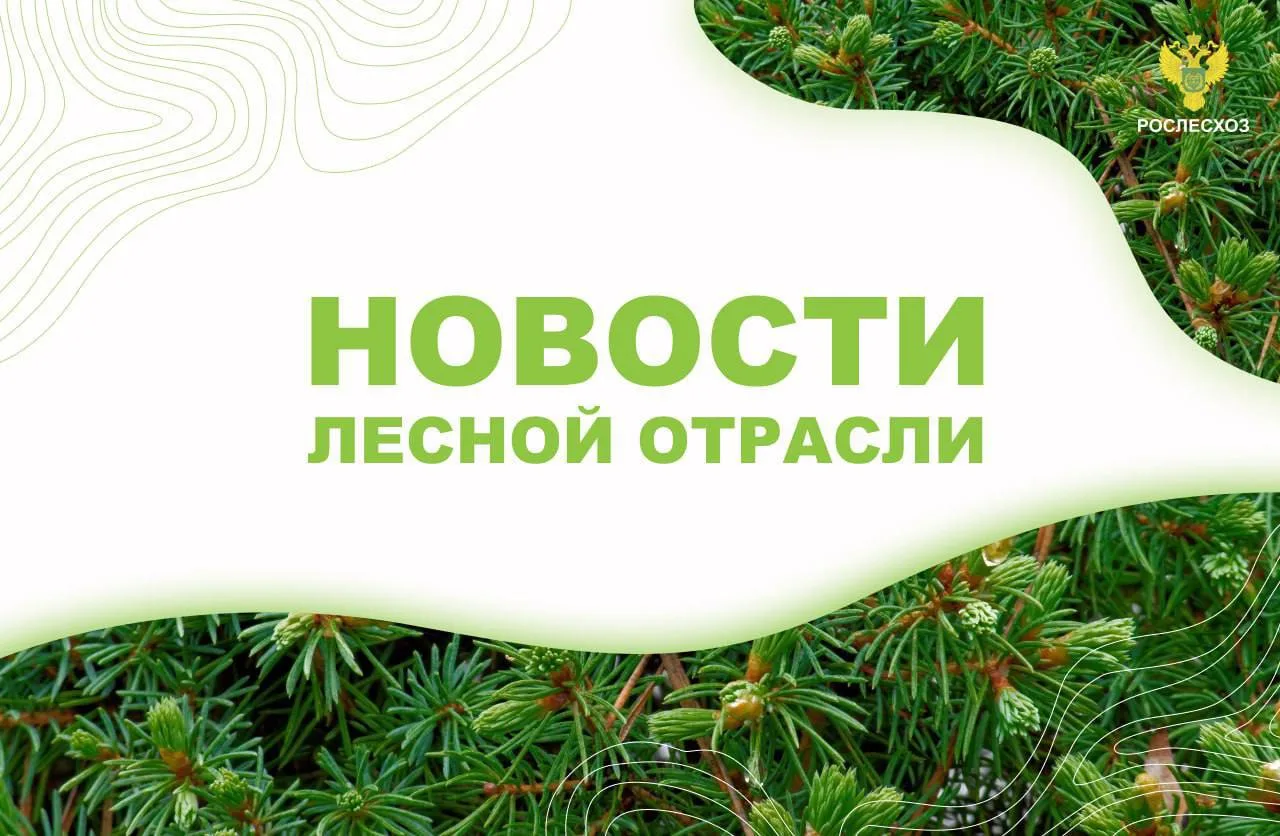 ТАСС: Рослесхоз через суд вернул в госсобственность более 21 тыс