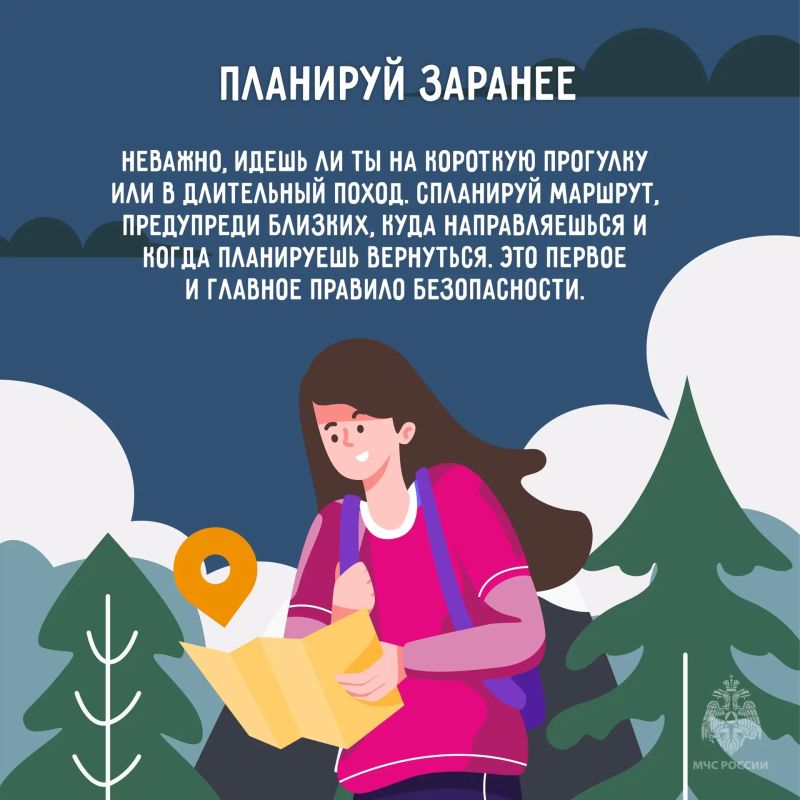 Лесные прогулки, походы и пикники – любимый вид досуга для многих наших жителей и гостей региона Лесные прогулки, походы и пикники – любимый вид досуга для многих наших жителей и гостей региона