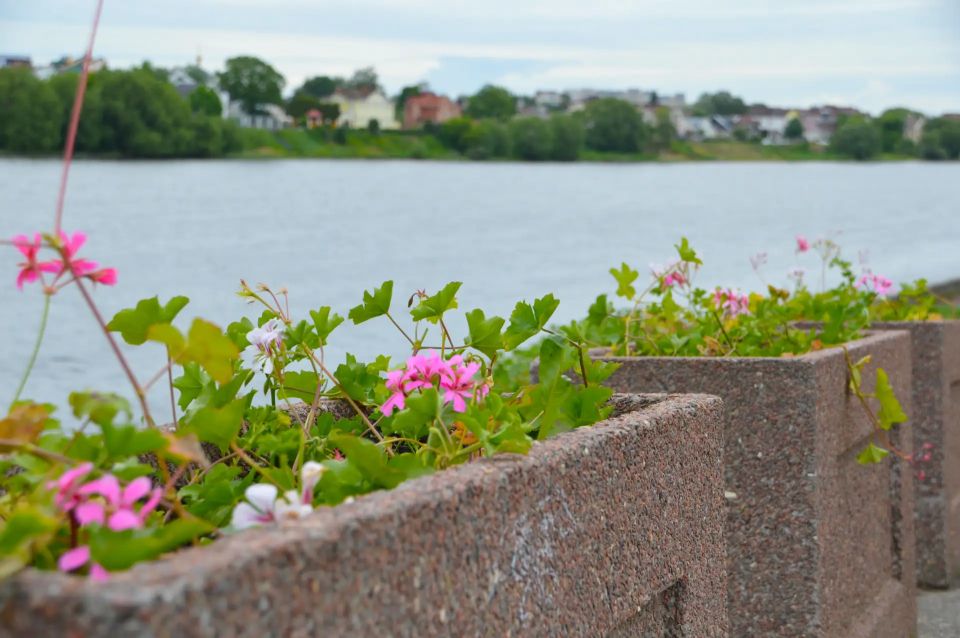 Во всех районах города ведутся сезонные работы по содержанию улично-дорожной сети, парков и скверов, оформлению цветников и покосу травы Во всех районах города ведутся сезонные работы по содержанию улично-дорожной сети, парков и скверов, оформлению цветников и покосу травы