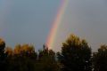 ����� ��������, ����� ���� �������� � �������� �������