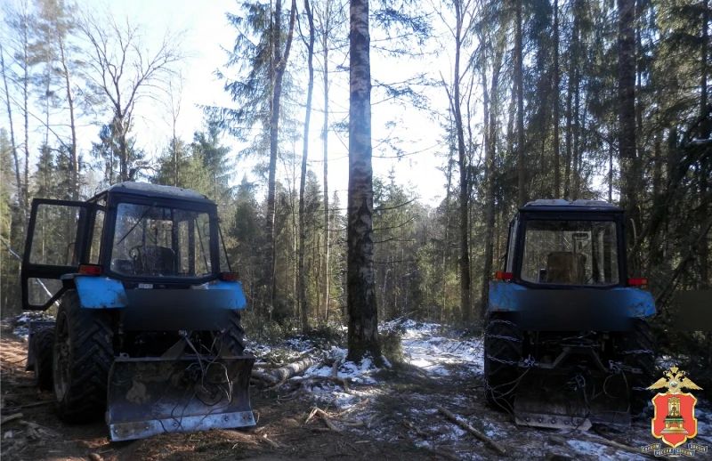 В Тверской области полицейскими завершено расследование уголовного дела о массовой вырубке леса В Тверской области полицейскими завершено расследование уголовного дела о массовой вырубке леса