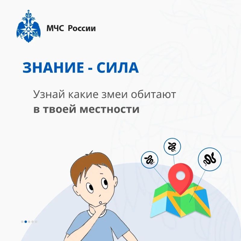 В Тверских лесах обитают змеи! Бояться не нужно — нужно знать, как себя вести В Тверских лесах обитают змеи! Бояться не нужно — нужно знать, как себя вести