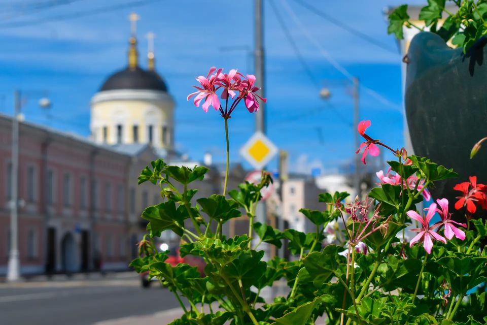 Этим летом в Твери высадят более 3 000 квадратных метров цветников Этим летом в Твери высадят более 3 000 квадратных метров цветников