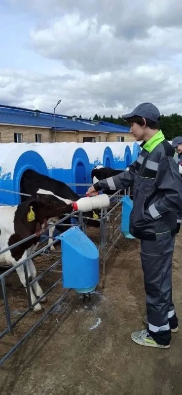 Полезные опыт и знания: ученики Горютинской школы проходят летнюю трудовую практику на одном из ведущих сельхозпредприятий региона Полезные опыт и знания: ученики Горютинской школы проходят летнюю трудовую практику на одном из ведущих сельхозпредприятий региона