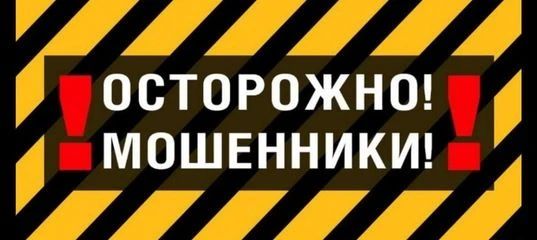 ЖИТЕЛЬНИЦА РЖЕВА ПЕРЕВЕЛА МОШЕННИКАМ БОЛЕЕ 6 ТЫСЯЧ РУБЛЕЙ ЗА НЕСУЩЕСТВУЮЩЕГО ЙОРКШИРСКОГО ТЕРЬЕРА