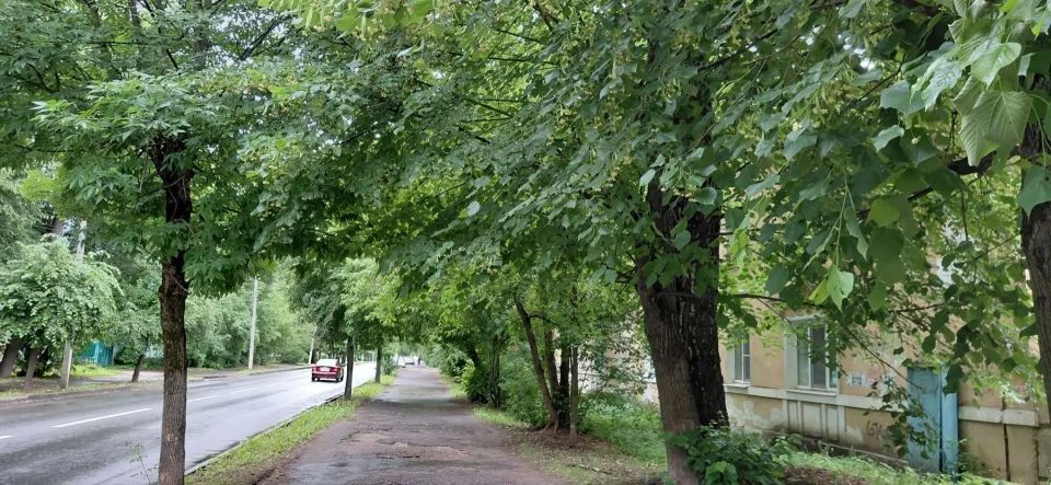 В Тверской области начался сезон сбора липового цвета (Народная новость от читателя ТИА) В Тверской области начался сезон сбора липового цвета (Народная новость от читателя ТИА)