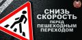 В период с 15 по 21 июня 2026 года тверские автоинспекторы составили 62 административных материала в отношении пешеходов, нарушающих ПДД и водителей, которые не предоставили преимущество пешеходам, из них 16 в отношении...