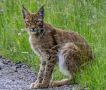 ����� ����� �� ������� ����� ���������� ��� ���� � �������� �������