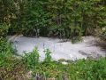 В ручье под Тверью нашли еще одну лужу химикатов со "страусиной подкормкой"