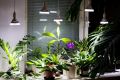 ������ ������ � �������� ���������