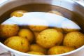 Почему картошка — недооценённый суперфуд для вашего кишечника