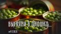 Выбор горошка для салата: как избежать подделок и некачественного продукта