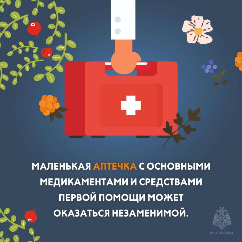 В лесах Тверской области — ягодно-грибной пик! В лесах Тверской области — ягодно-грибной пик!