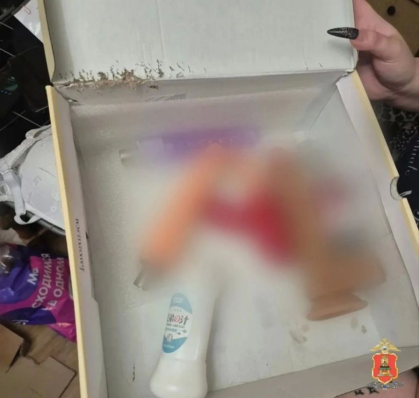 Полицейские не оценили видеоконтент для взрослых от вебкамщицы из Твери Полицейские не оценили видеоконтент для взрослых от вебкамщицы из Твери