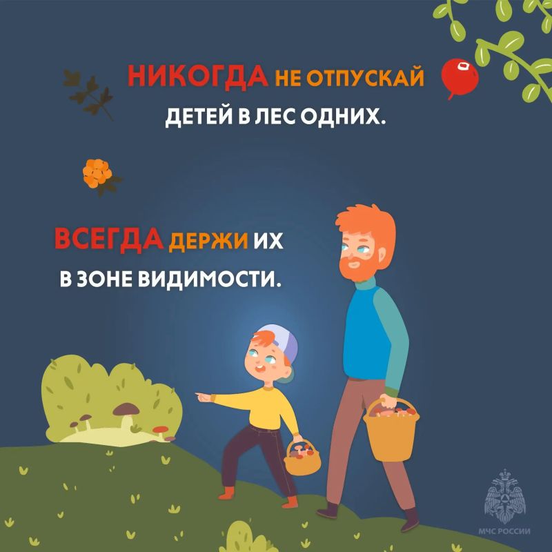В лесах Тверской области — ягодно-грибной пик! В лесах Тверской области — ягодно-грибной пик!