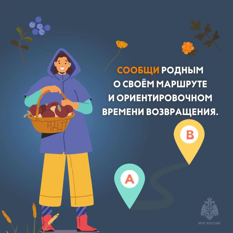 В лесах Тверской области — ягодно-грибной пик! В лесах Тверской области — ягодно-грибной пик!