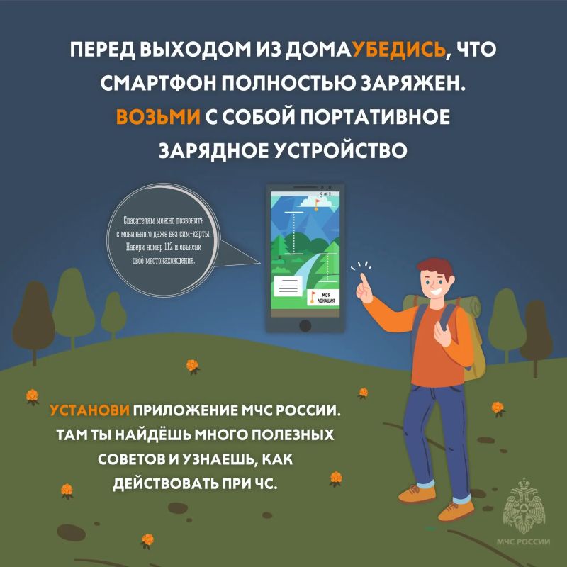 В лесах Тверской области — ягодно-грибной пик! В лесах Тверской области — ягодно-грибной пик!