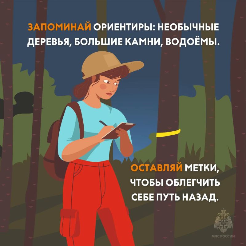 В лесах Тверской области — ягодно-грибной пик! В лесах Тверской области — ягодно-грибной пик!