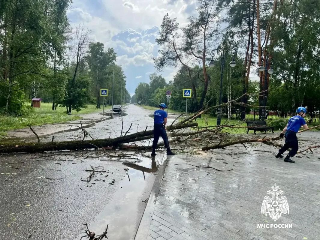 В Твери устраняют последствия грозового ливня В Твери устраняют последствия грозового ливня