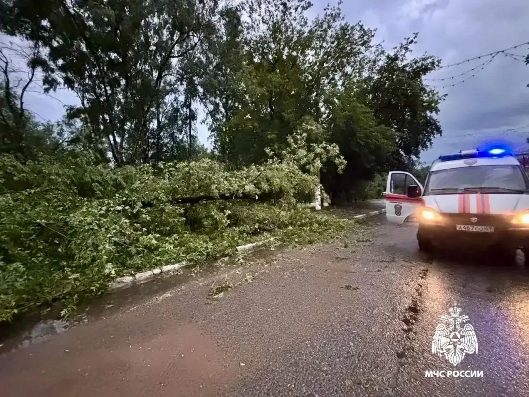 МЧС опубликовало фото и видео последствий нового урагана в Тверской области МЧС опубликовало фото и видео последствий нового урагана в Тверской области