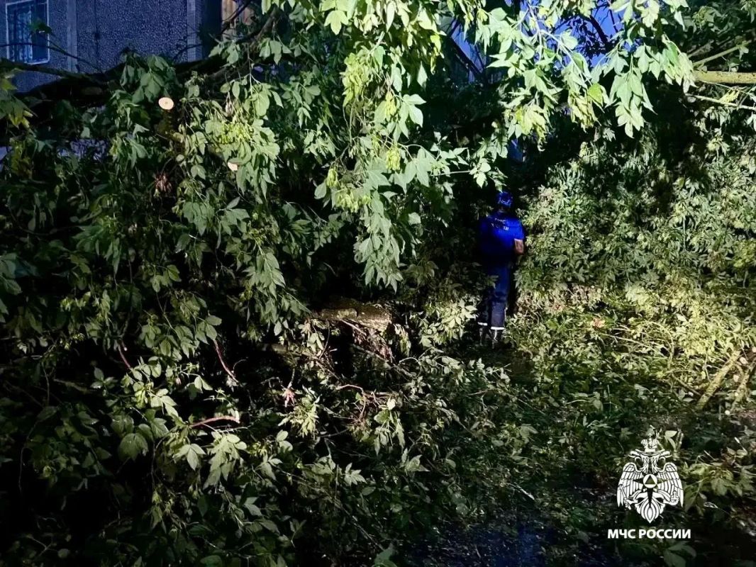 МЧС опубликовало фото и видео последствий нового урагана в Тверской области МЧС опубликовало фото и видео последствий нового урагана в Тверской области