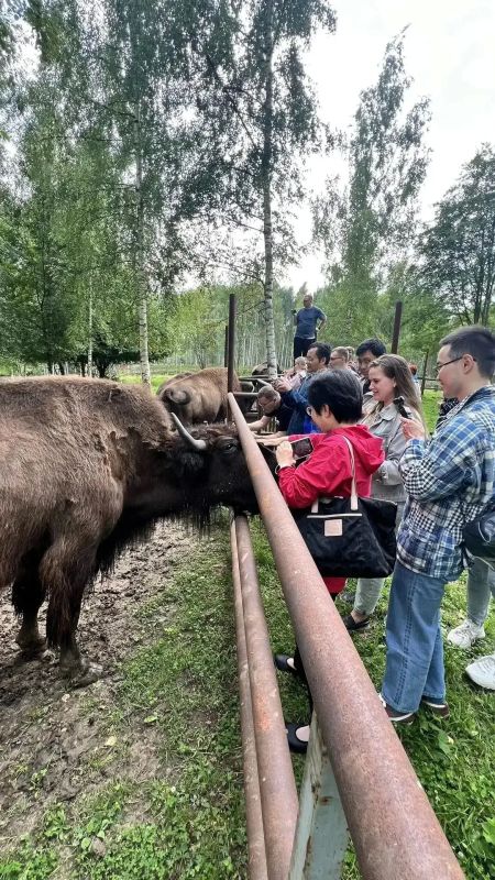 Китайские журналисты посетили еще один город Тверской области в рамках медиатура «Дорогами дружбы: сохраняя прошлое, стремясь в будущее» Китайские журналисты посетили еще один город Тверской области в рамках медиатура «Дорогами дружбы: сохраняя прошлое, стремясь в будущее»